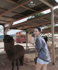 Alternative view of SET CV HELLO KITTY XÁM