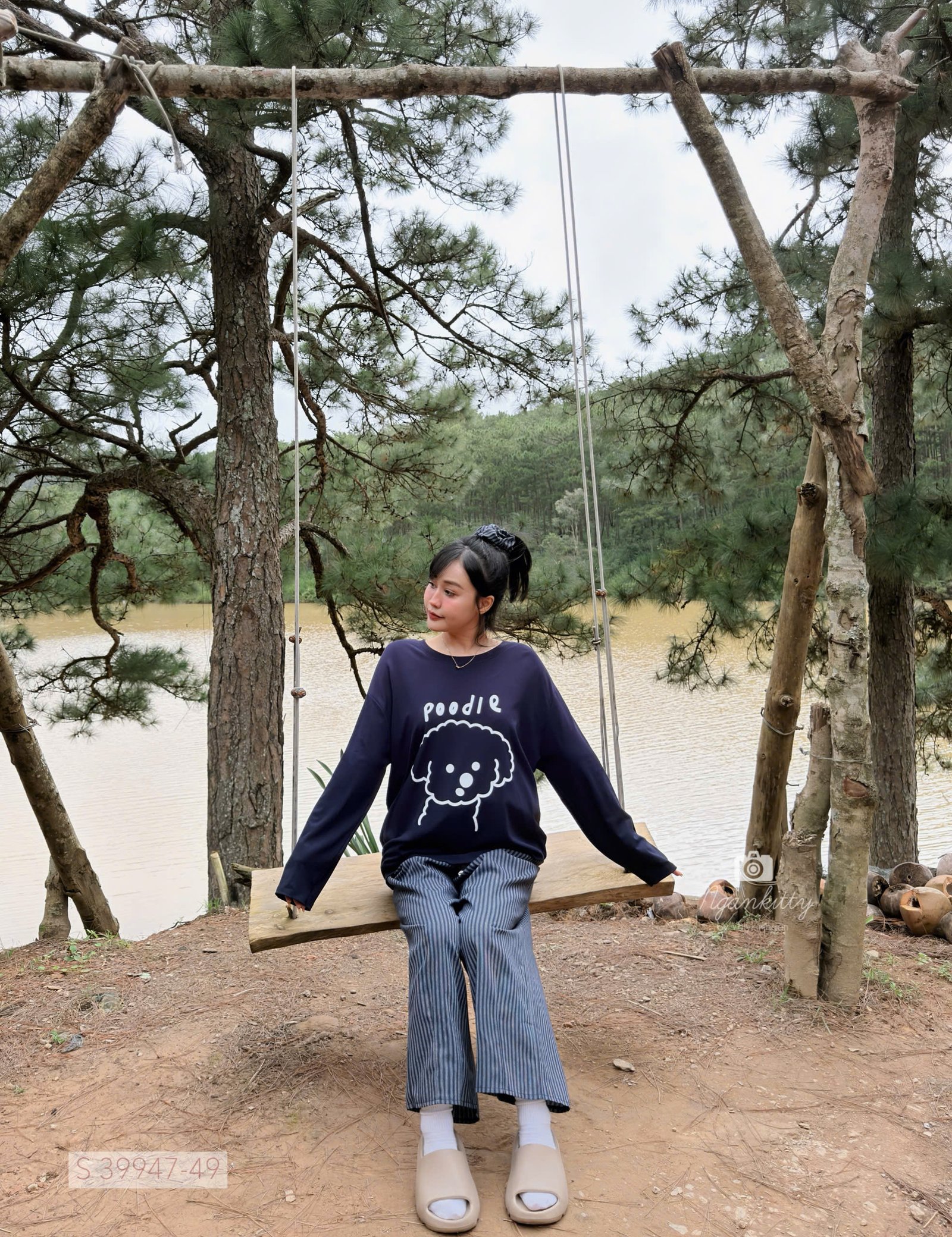 SET CHÓ POODLE QUẦN SỌC - Hình ảnh 7