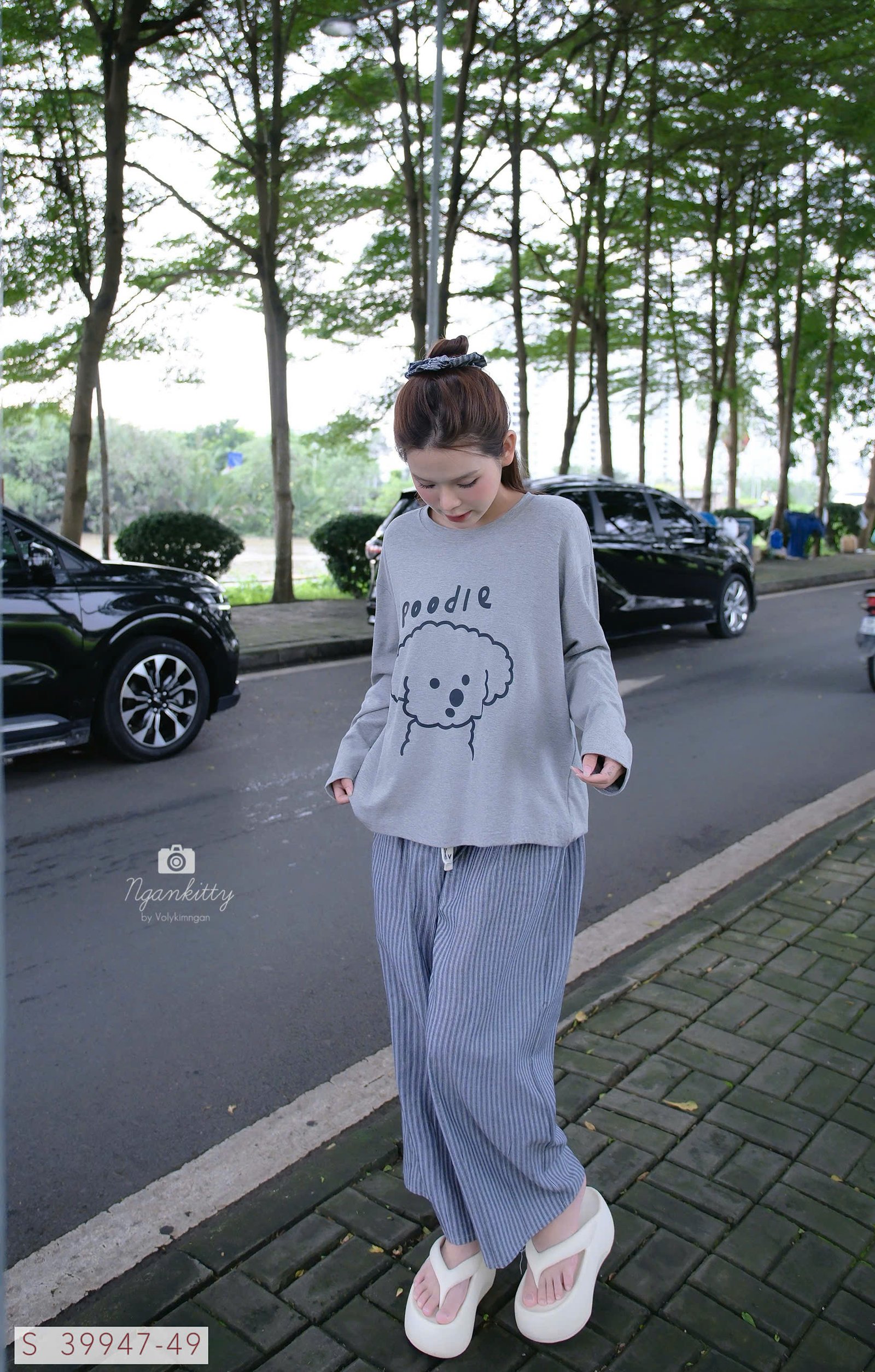 SET CHÓ POODLE QUẦN SỌC - Hình ảnh 15