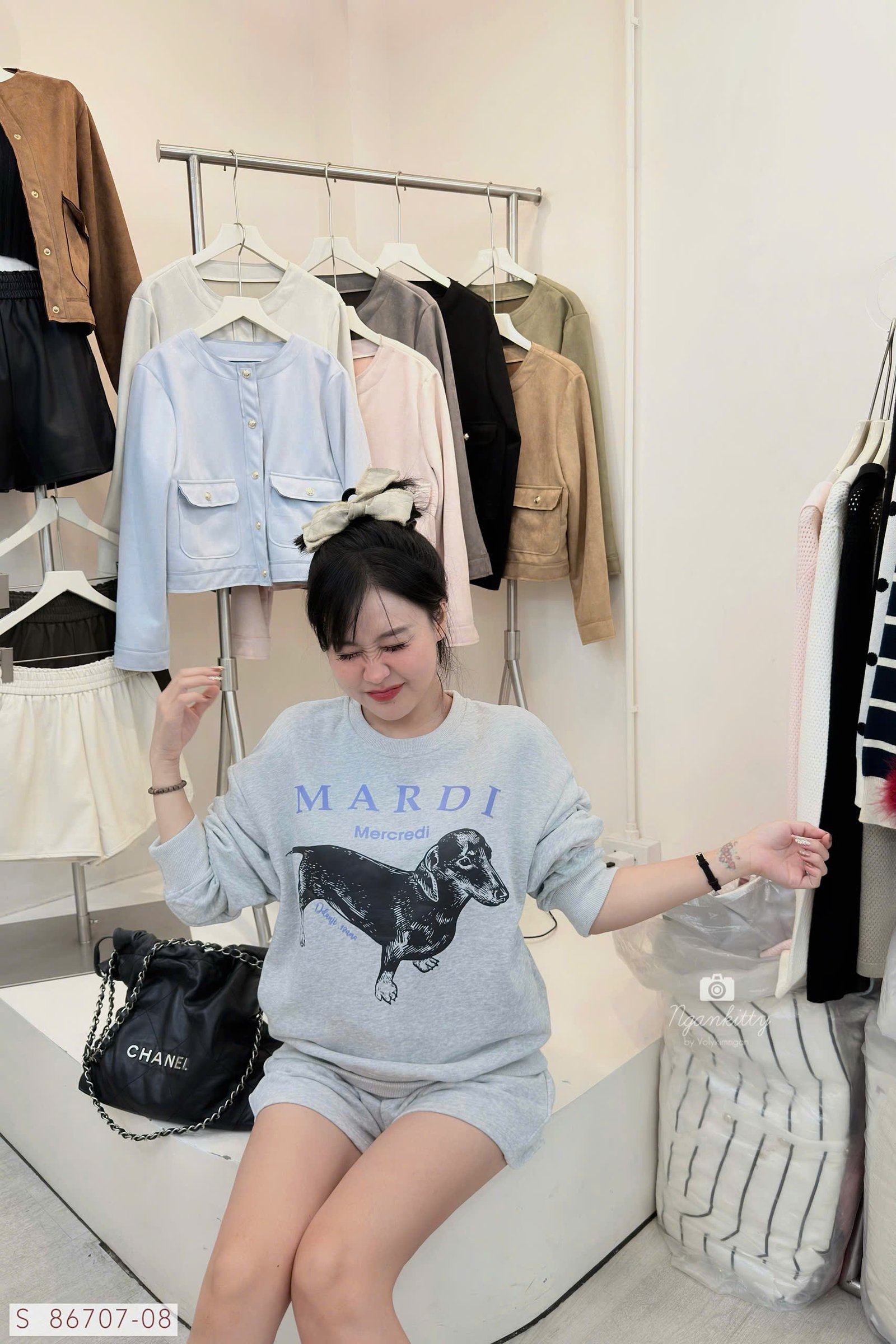 SET CHÓ DACHSHUND MARDI - Hình ảnh 9