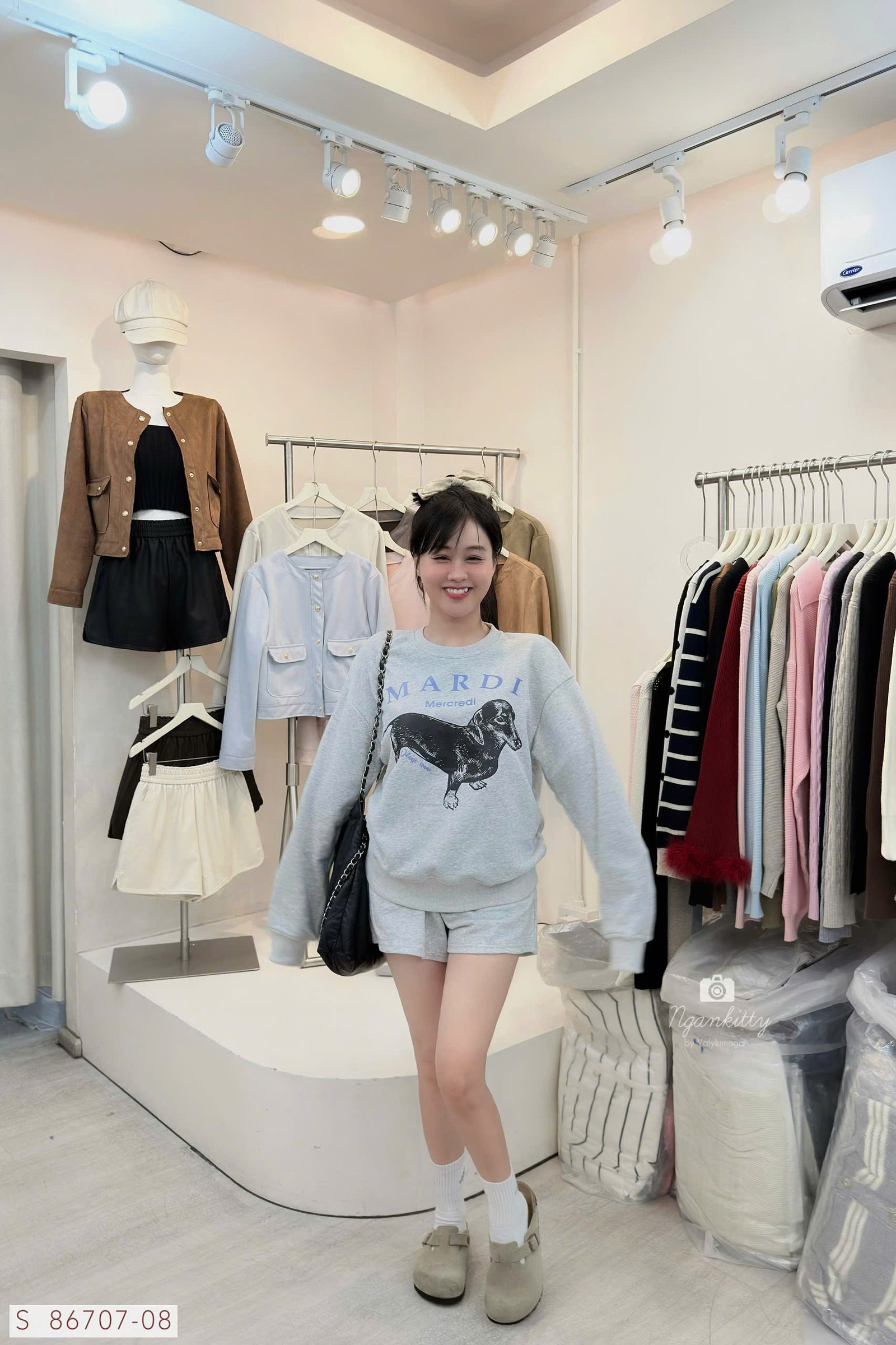 SET CHÓ DACHSHUND MARDI