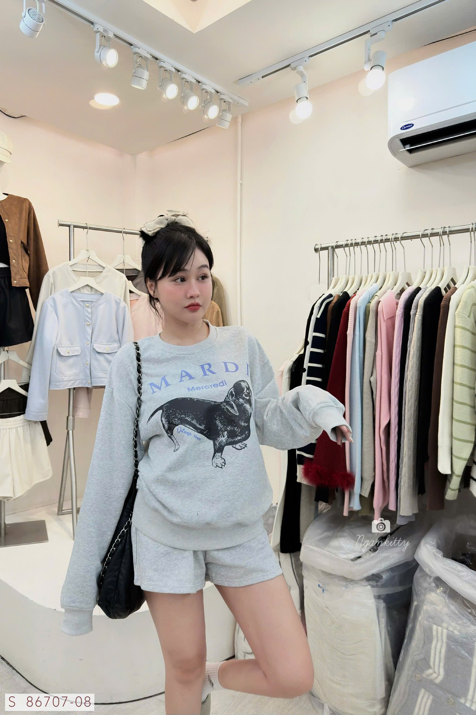 SET CHÓ DACHSHUND MARDI - Hình ảnh 3