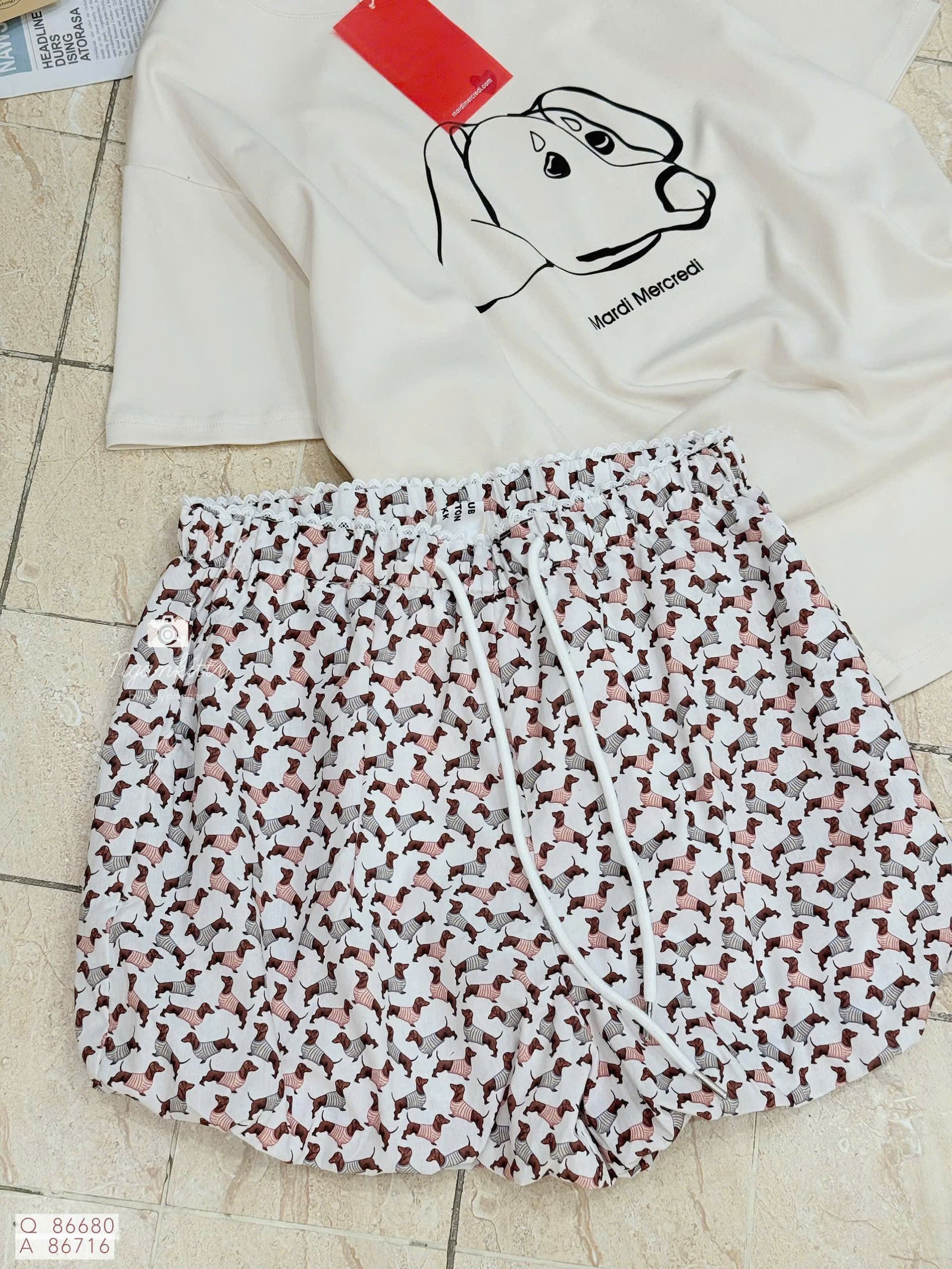 QUẦN BÍ CHÓ DACHSHUND - Hình ảnh 4