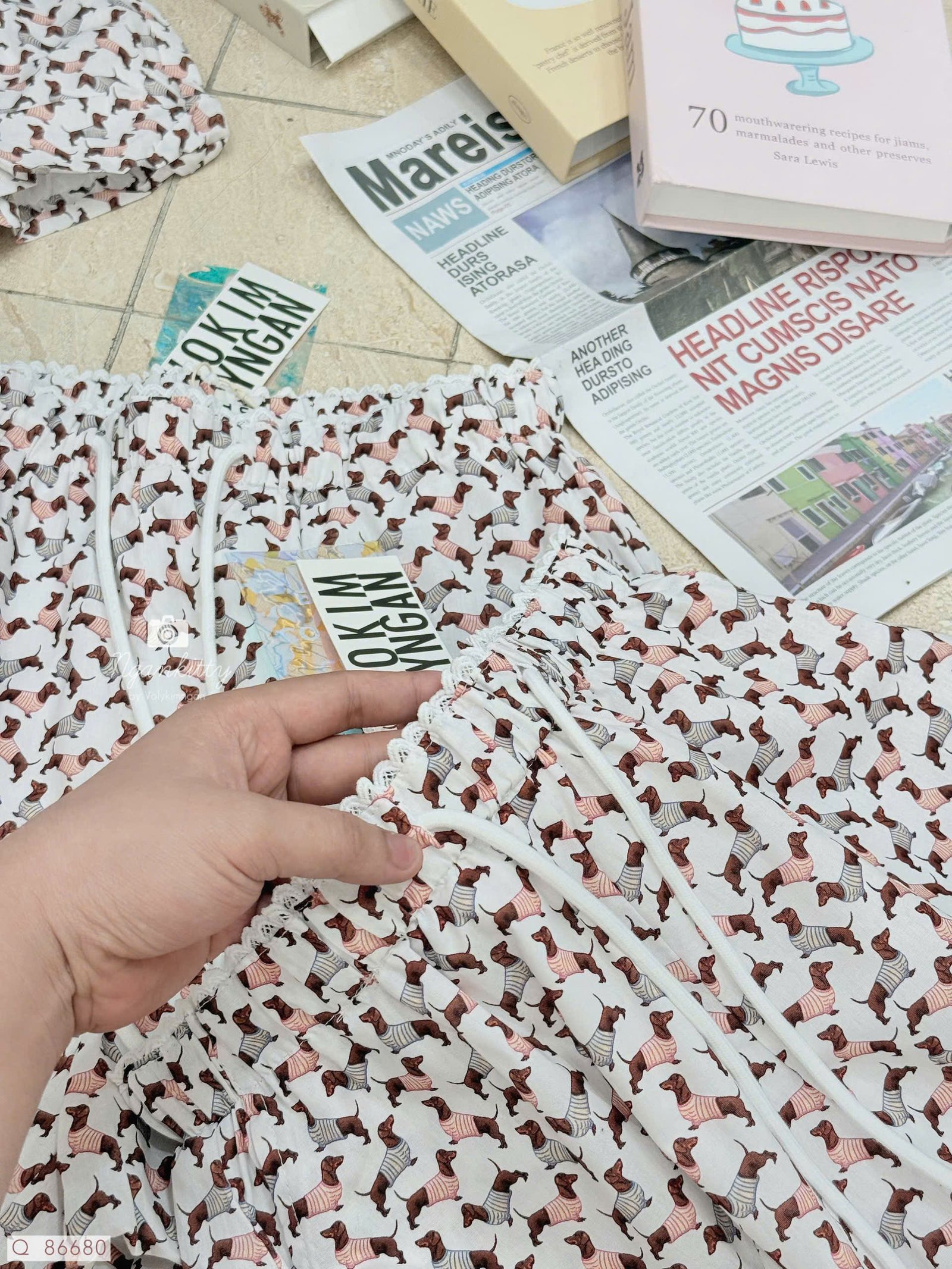 QUẦN BÍ CHÓ DACHSHUND - Hình ảnh 5