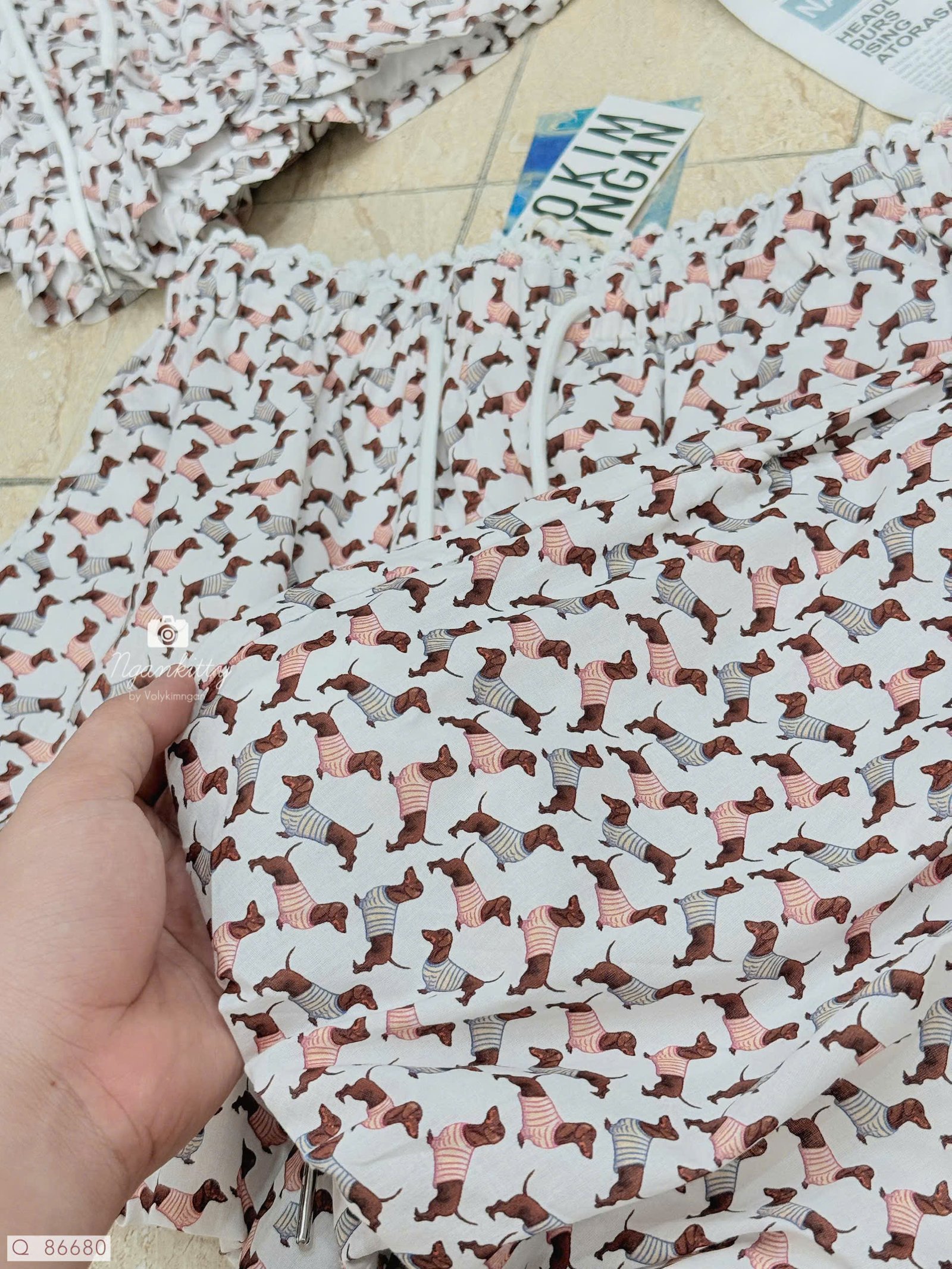 QUẦN BÍ CHÓ DACHSHUND - Hình ảnh 6