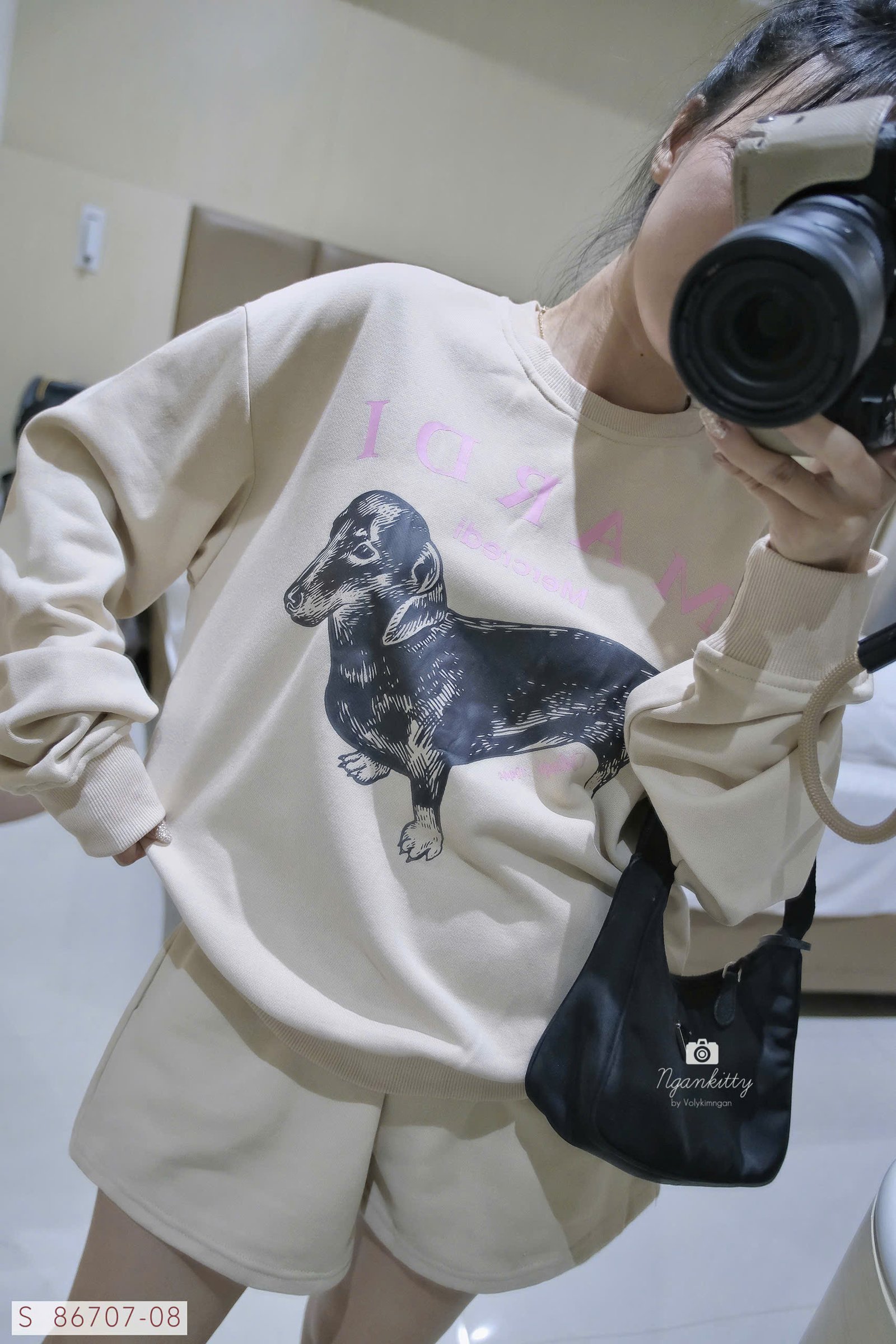 SET CHÓ DACHSHUND MARDI - Hình ảnh 2