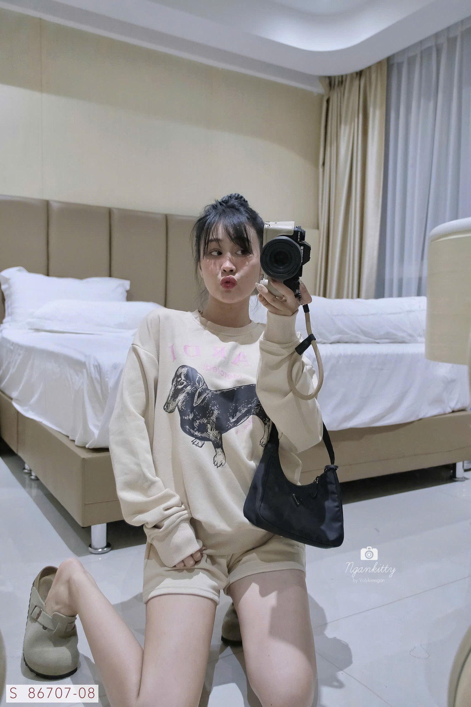 SET CHÓ DACHSHUND MARDI - Hình ảnh 7