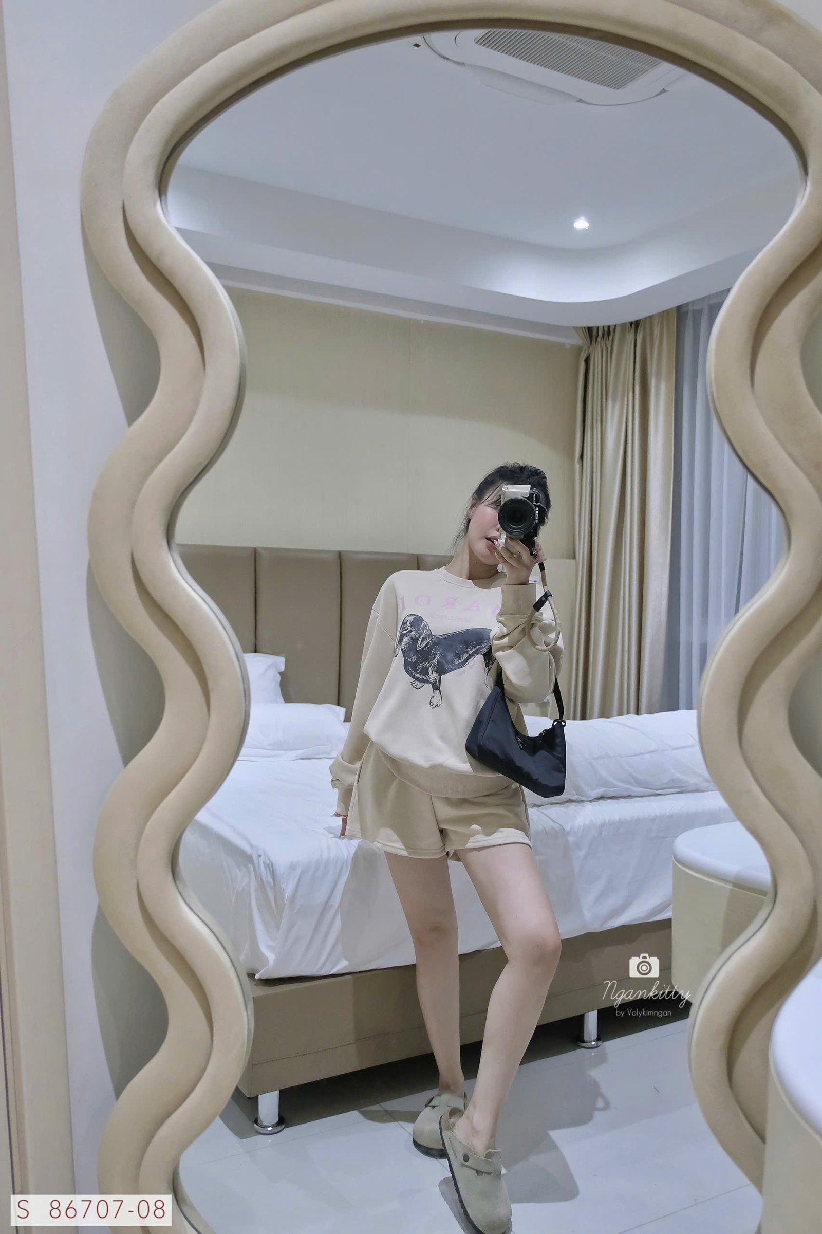 SET CHÓ DACHSHUND MARDI - Hình ảnh 4