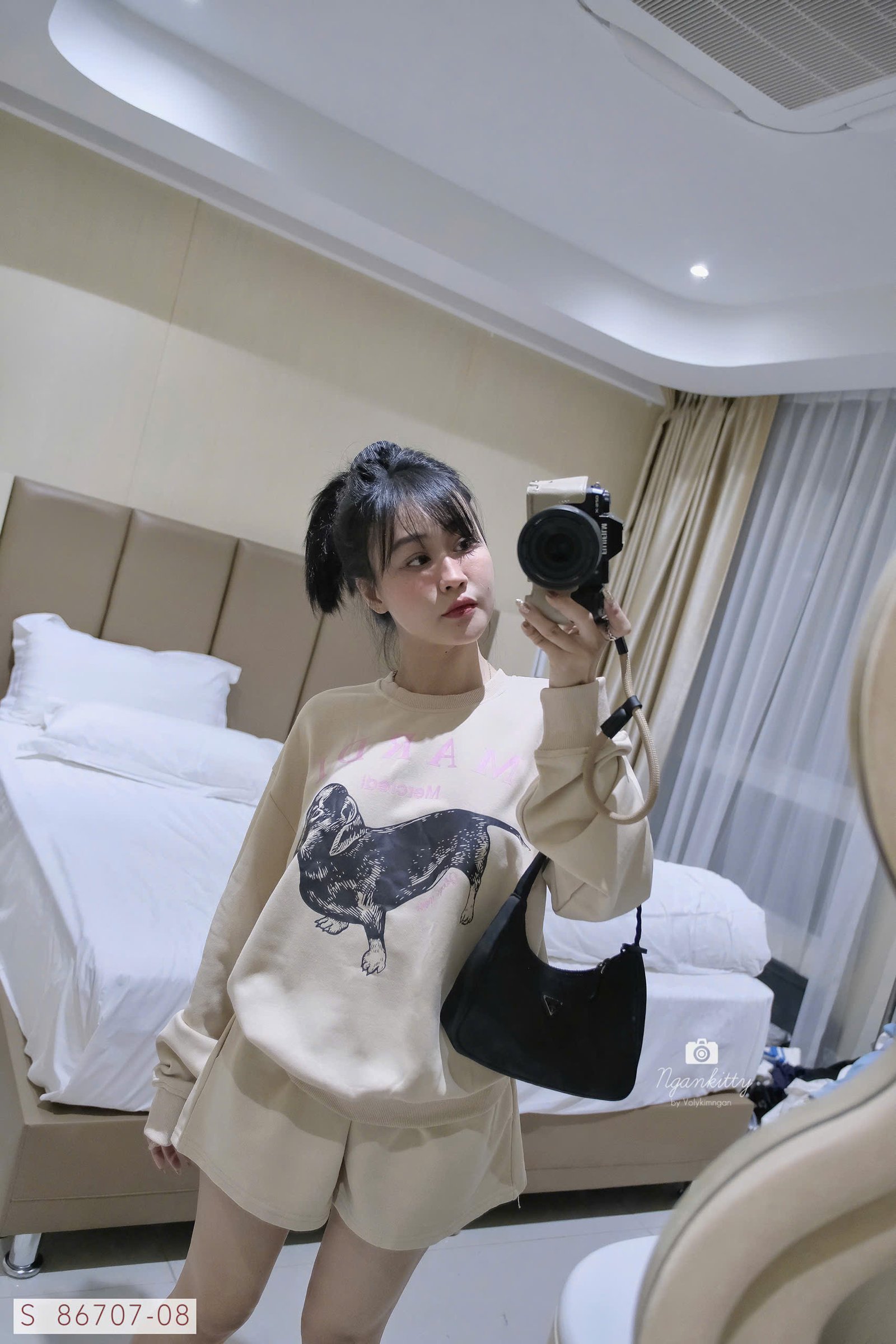 SET CHÓ DACHSHUND MARDI - Hình ảnh 5