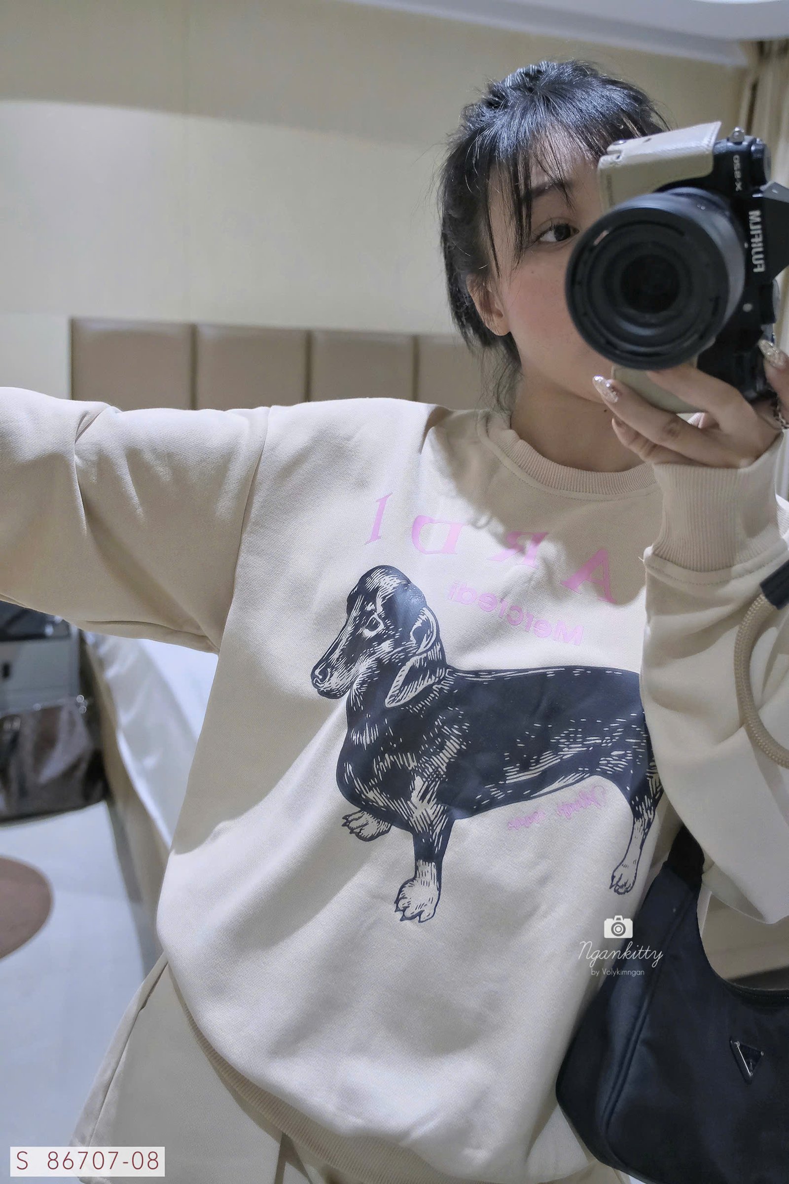 SET CHÓ DACHSHUND MARDI - Hình ảnh 10