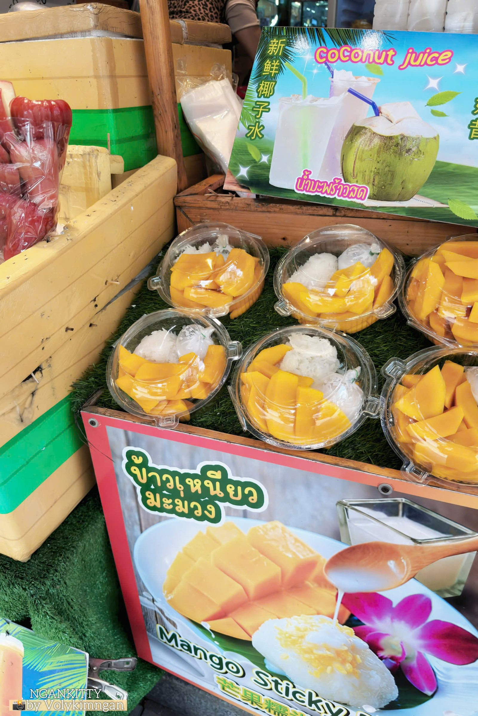 Áo babytee chó - Ảnh 6