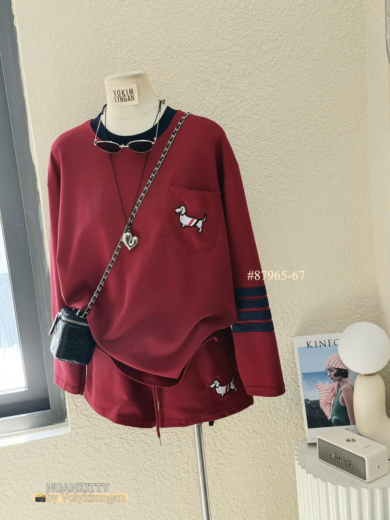 Set Chó td Thombrowne - Ảnh 6