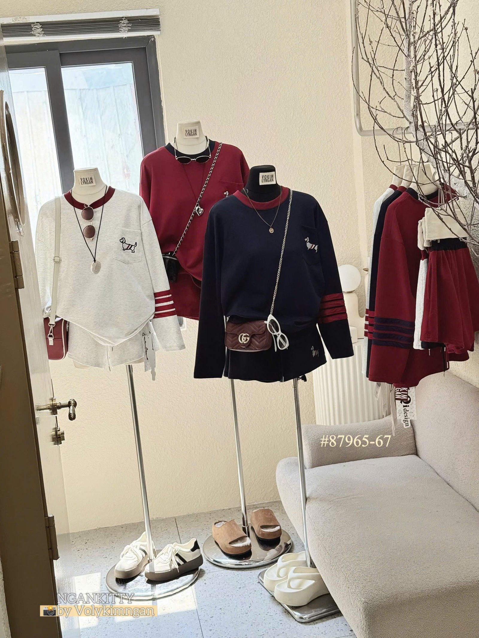 Set Chó td Thombrowne