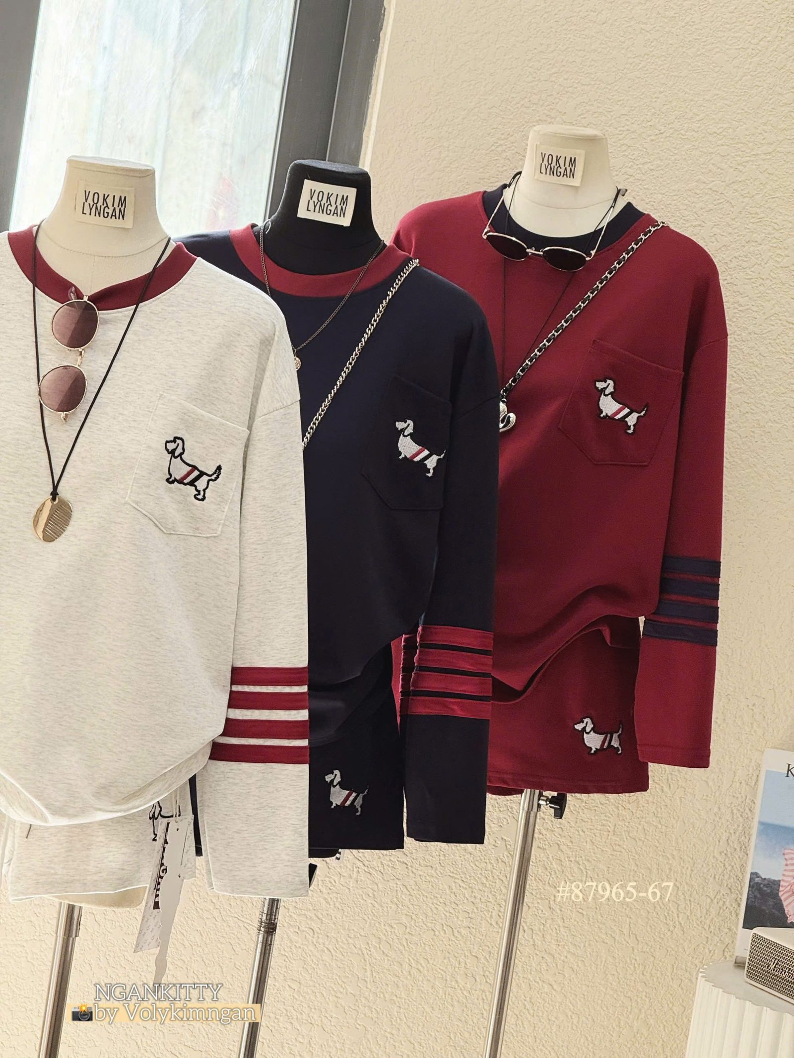 Set Chó td Thombrowne - Ảnh 3