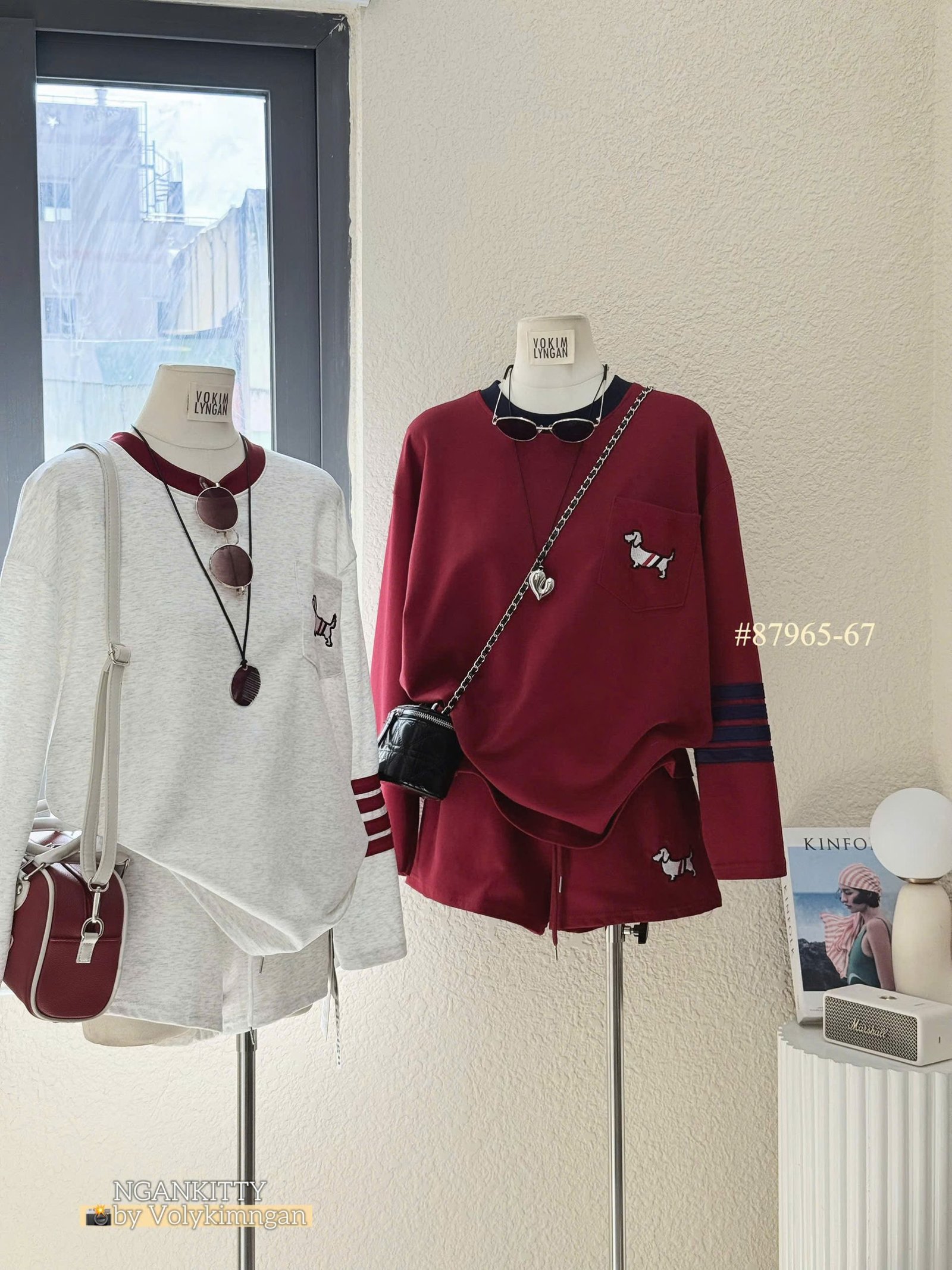 Set Chó td Thombrowne - Ảnh 2