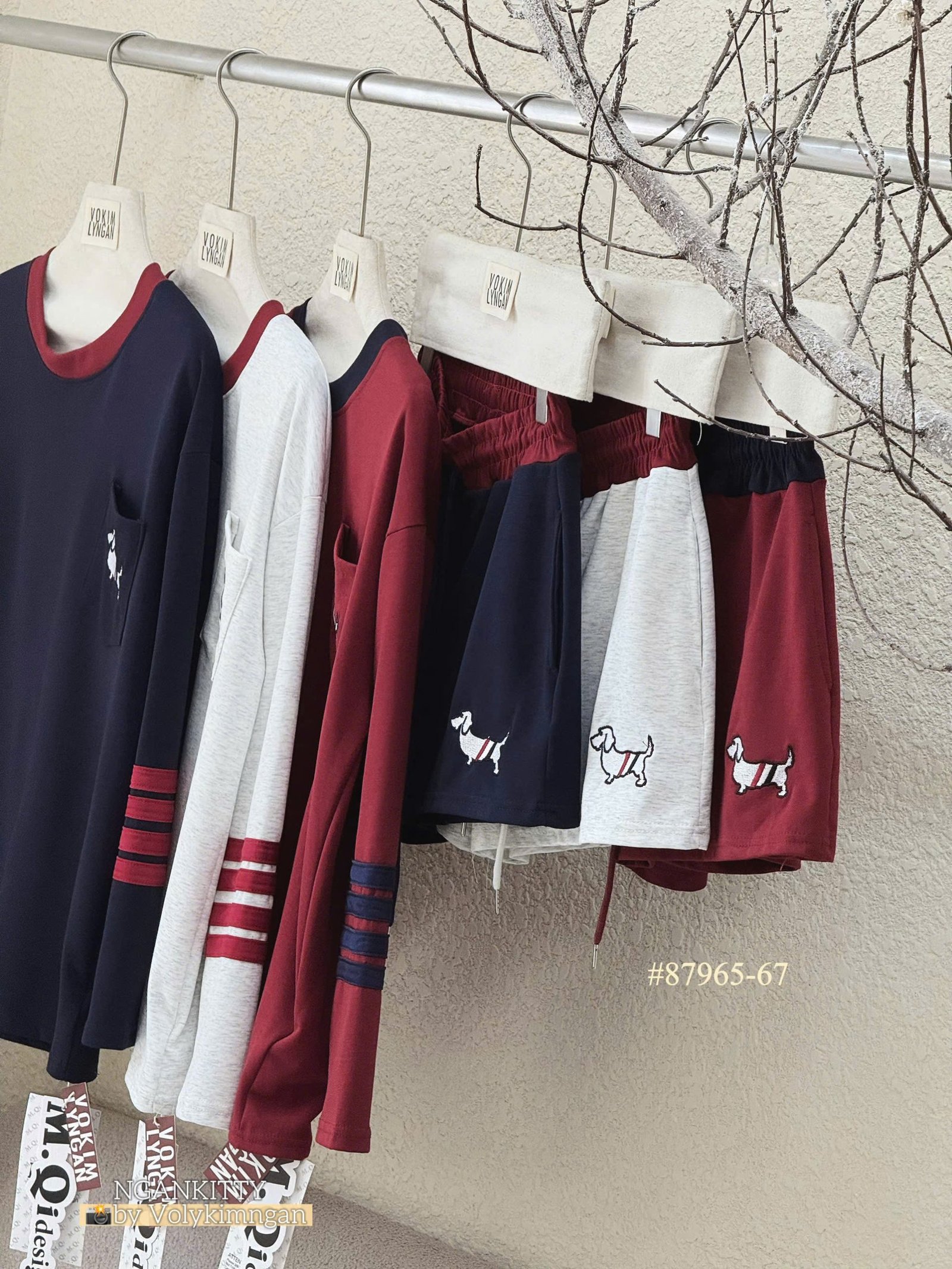 Set Chó td Thombrowne - Ảnh 8