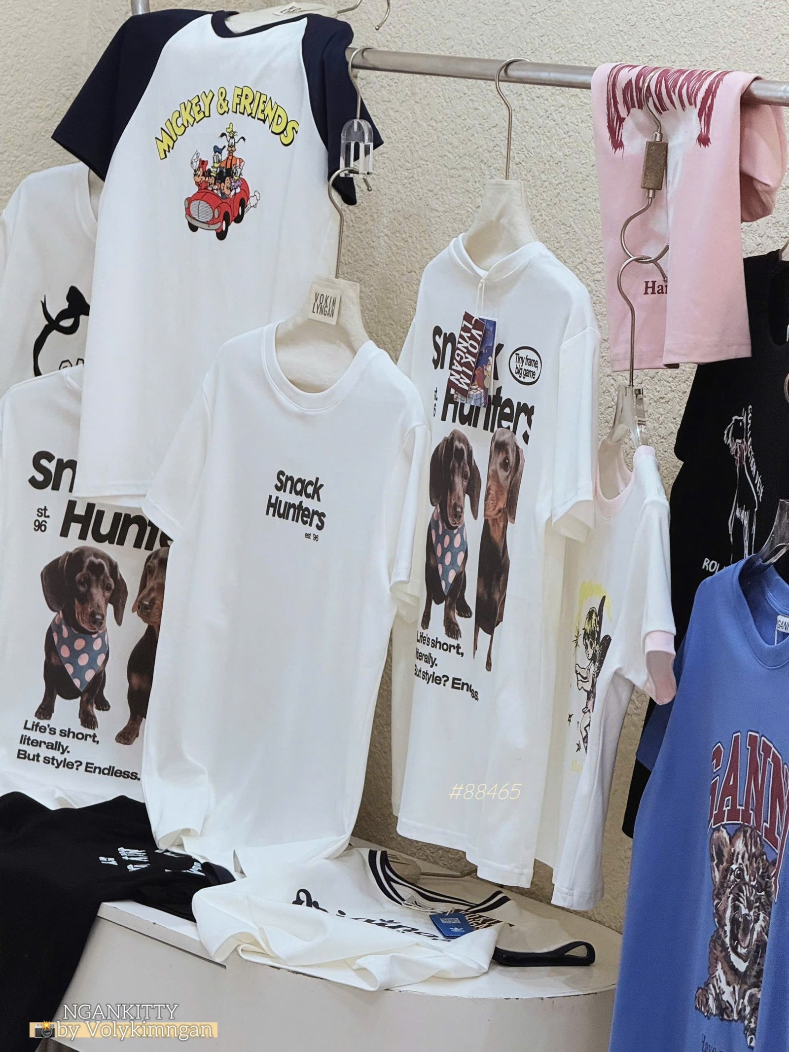 Áo Chó Snack Hunter - Ảnh 5